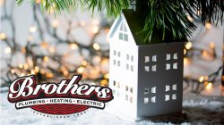 Tis the Season for LIGHTS banner image