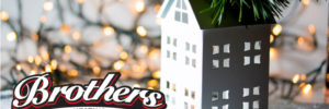 Tis the Season for LIGHTS banner image